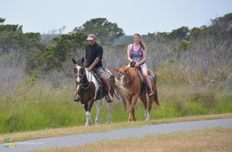 Horse riding along NC12 in Ocracoke