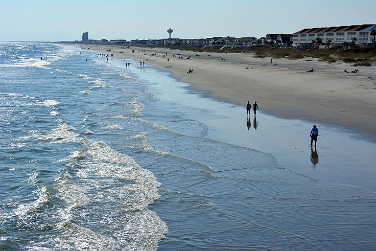 are dogs allowed on ocean isle beach