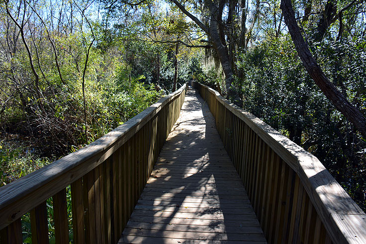 Sea Pines Forest Preserve - OuterBanks.com