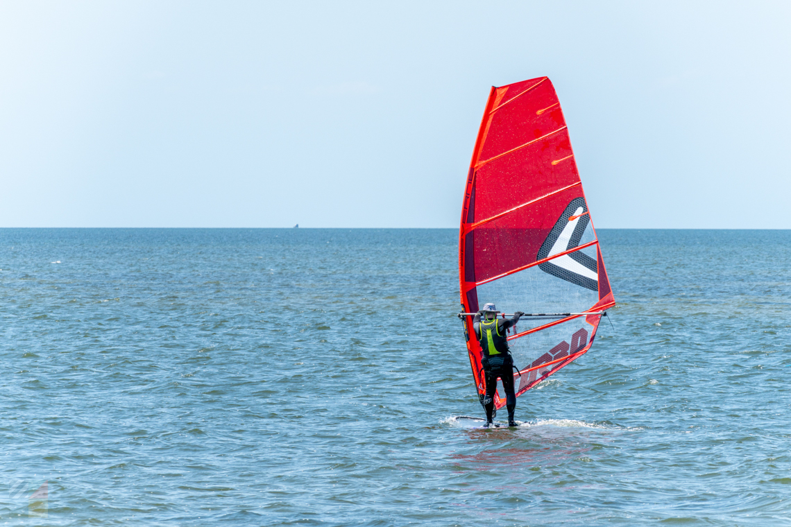 Windsurfer
