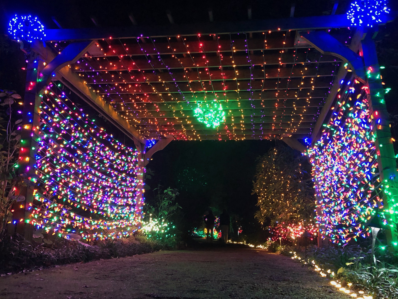 Elizabethan Gardens Winter Lights