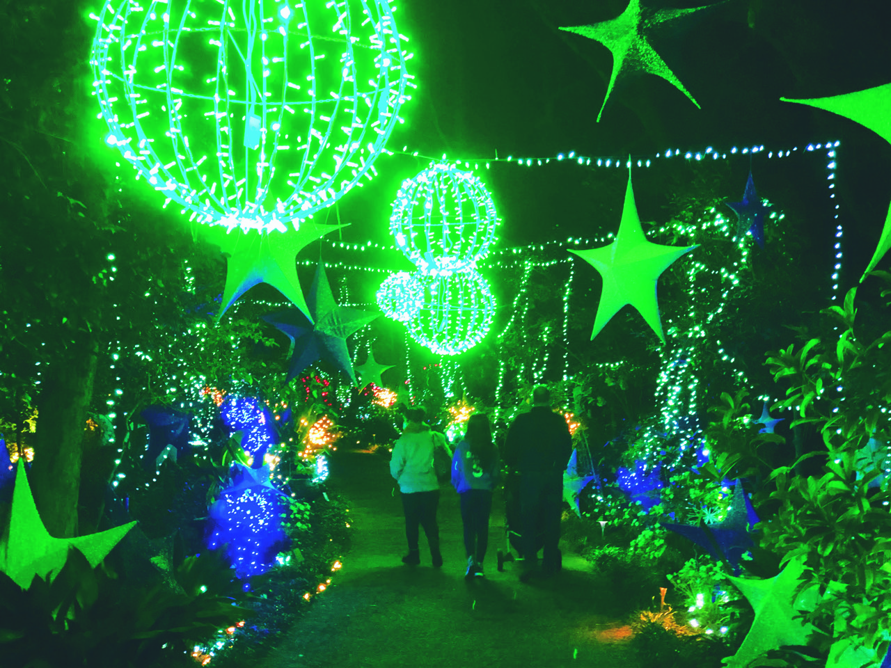 Elizabethan Gardens Winter Lights