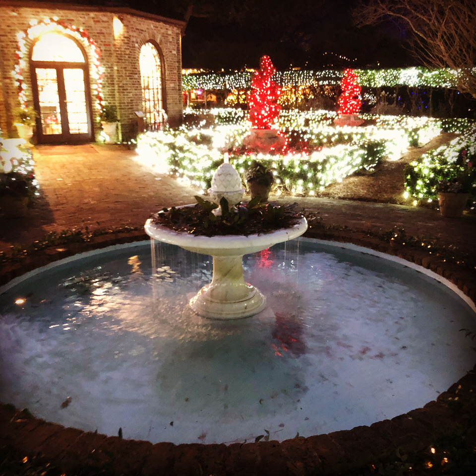 Elizabethan Gardens Winter Lights