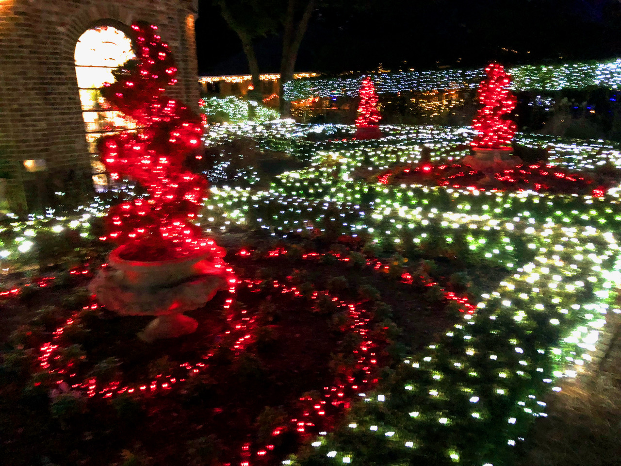 Elizabethan Gardens Winter Lights