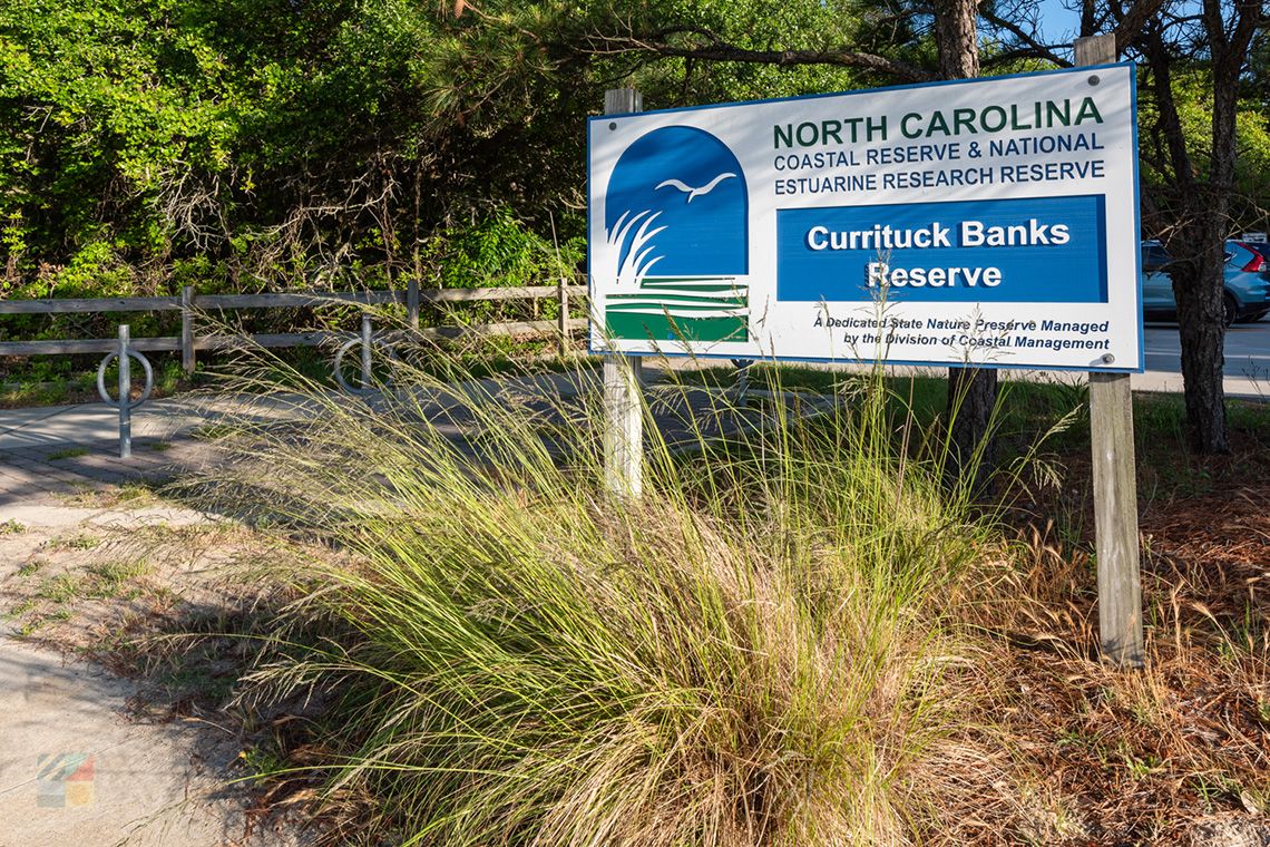 Currituck Banks Reserve