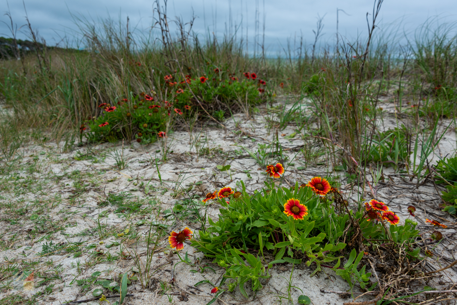 Fort Fisher Recreation Area