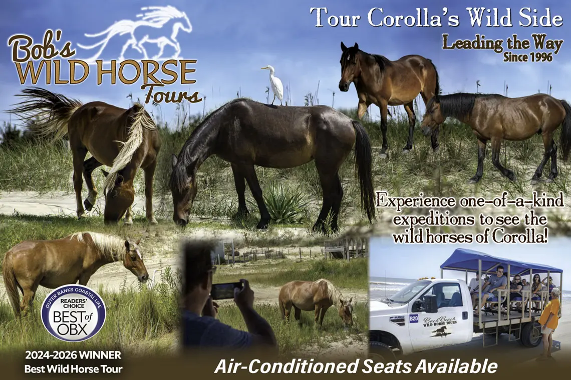 Bob's Wild Horse Adventure Tours