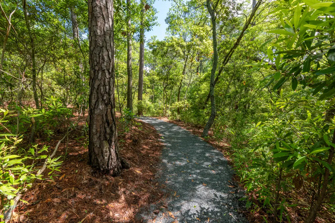 Kitty Hawk Woods Coastal Reserve