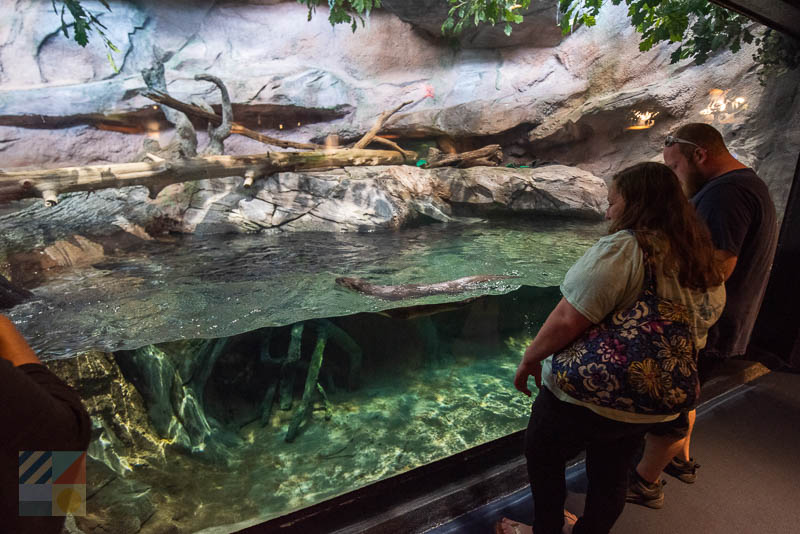 NC Aquarium at Pine Knoll Shores