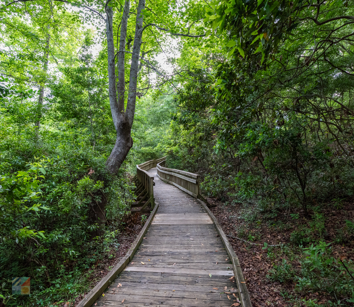 Emerald Isle Woods