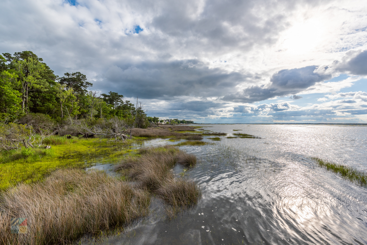 Emerald Isle Woods