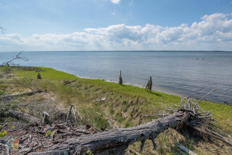 Theodore Roosevelt Natural Area - OuterBanks.com