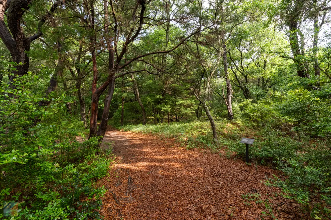 Buxton Woods