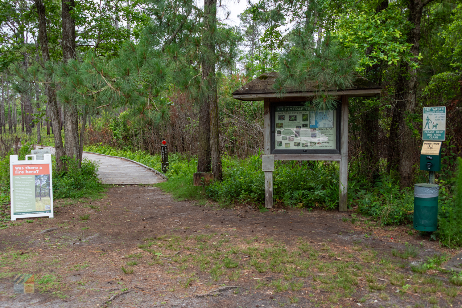 Carolina Beach State Park