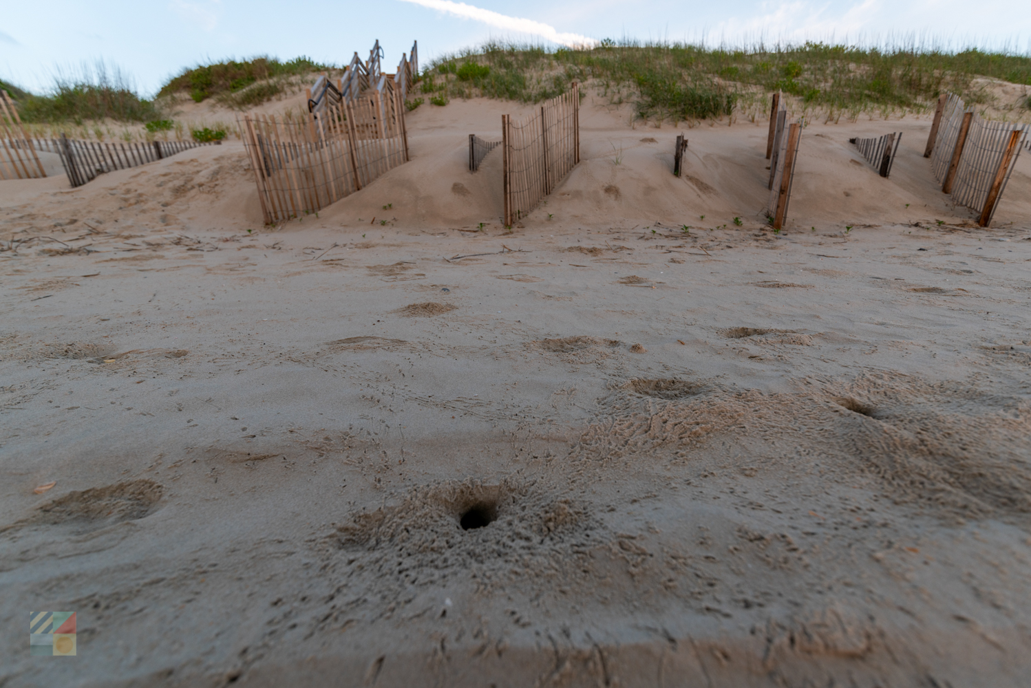 Ghost Crabs holes on the beach