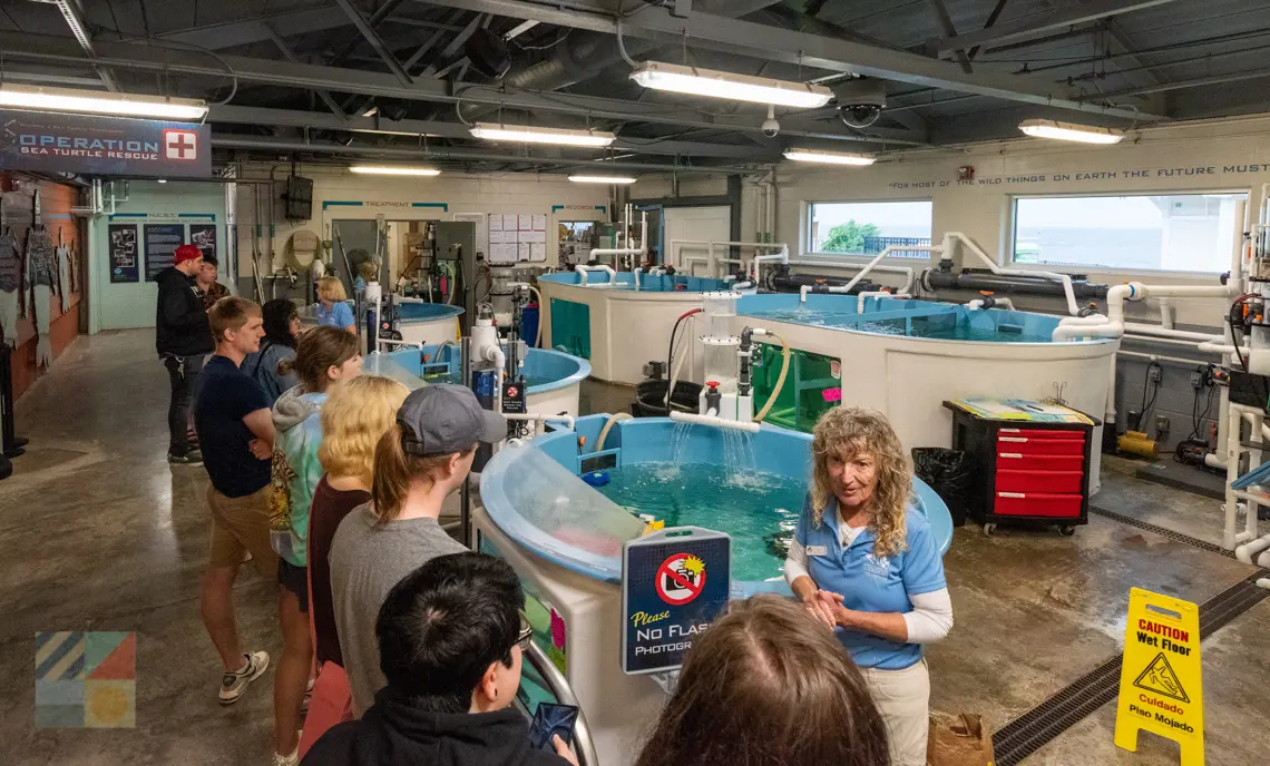 NC Aquarium on Roanoke Island