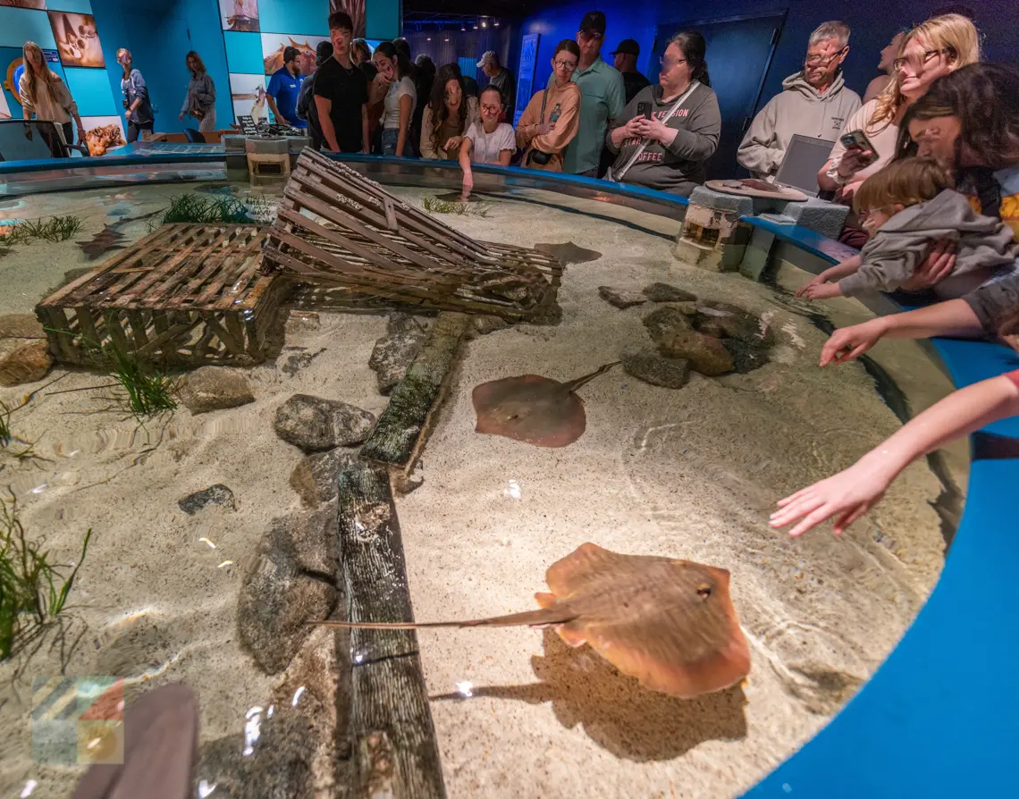 NC Aquarium on Roanoke Island