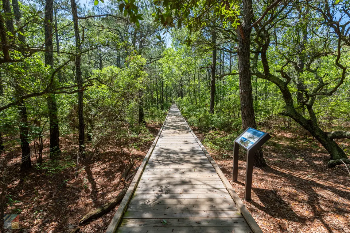Coastal Currituck Estuarine Reserve