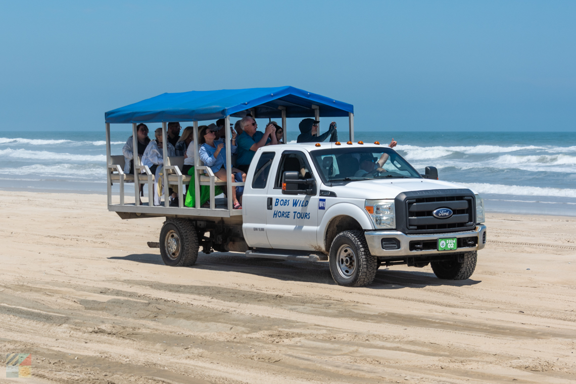 A 4x4 wild horse tour in Carova NC