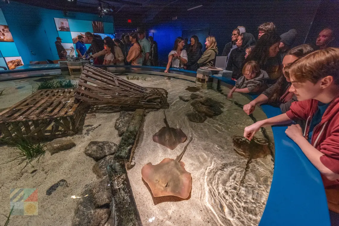 NC Aquarium on Roanoke Island