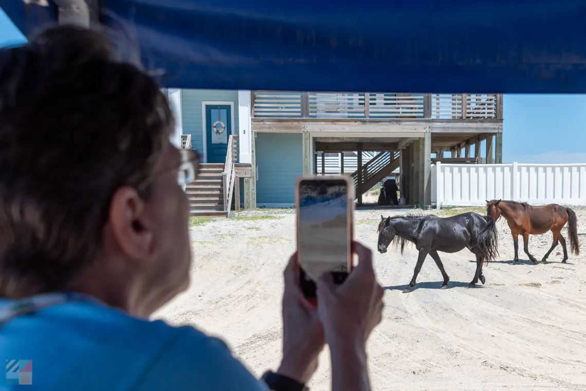 Corolla Wild Horse Tour