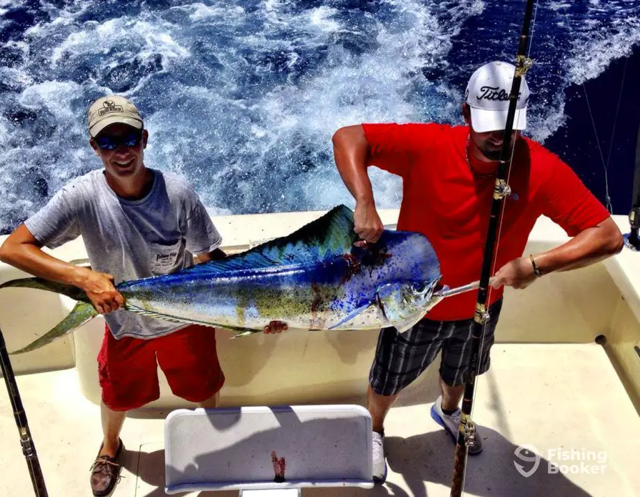 charter image 6