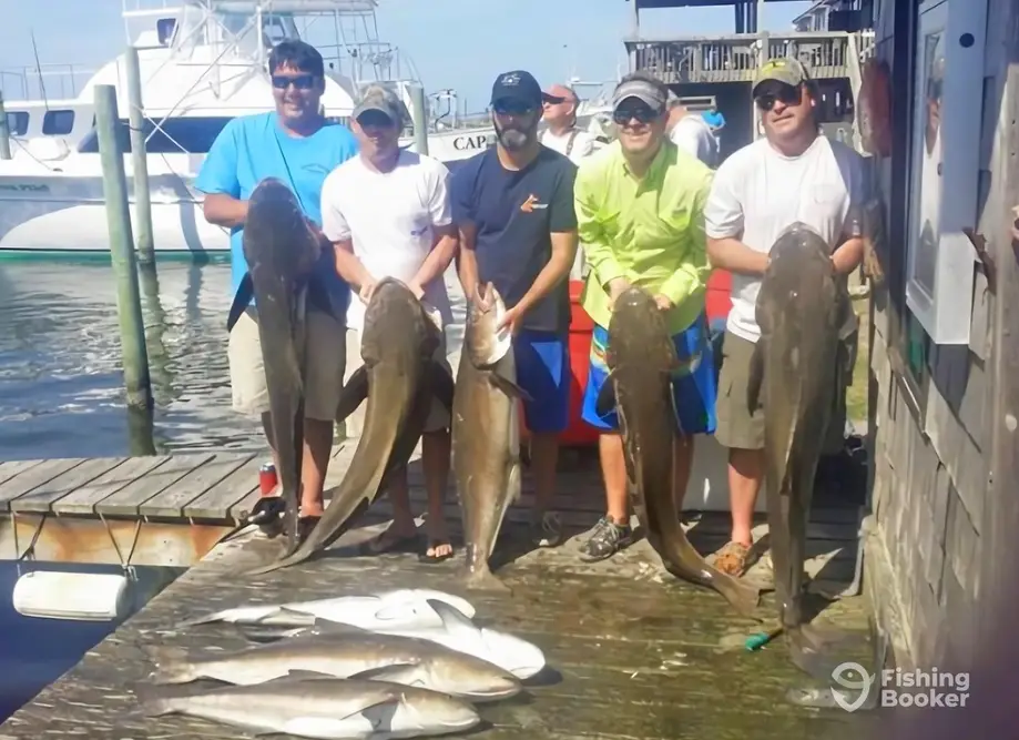 charter image 6