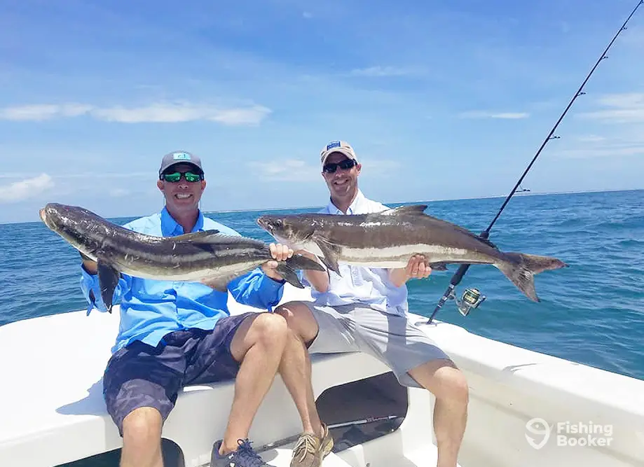 charter image 5