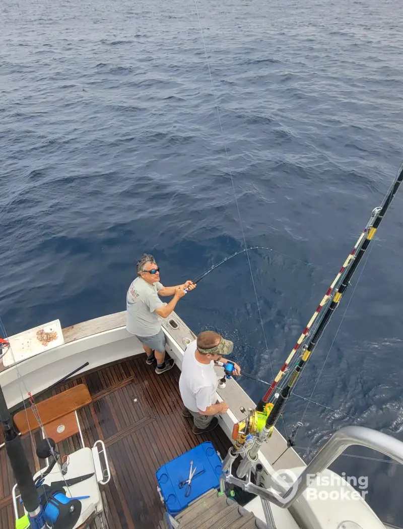 charter image 6