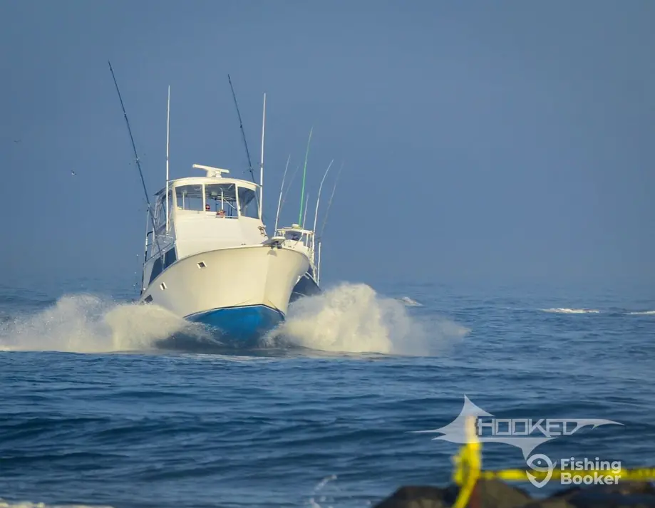 All In Sport Fishing - Fishing Charter in Hatteras, NC
