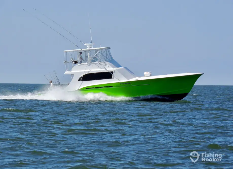Top Outer Banks Hatteras Fishing Charters for 2024 