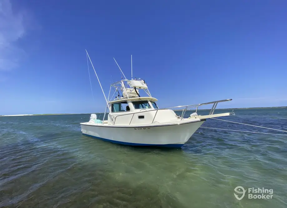 charter image 5