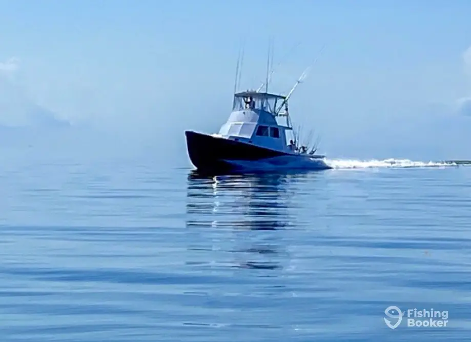 Gambler Sportfishing