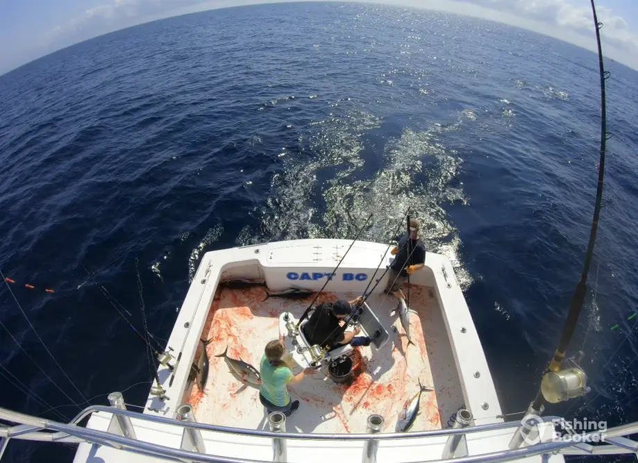 charter image 4