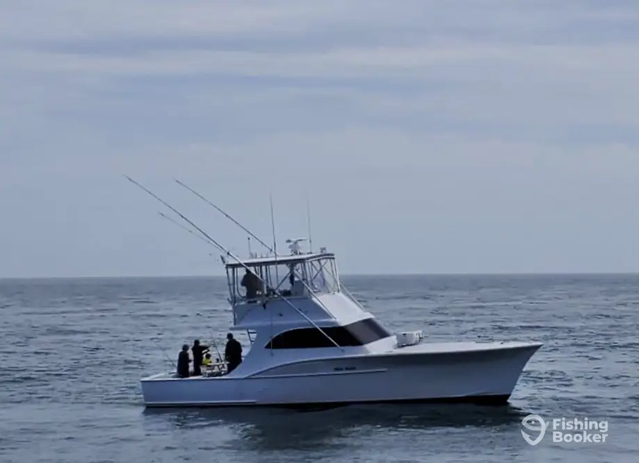 Top Outer Banks Wanchese Fishing Charters for 2024 