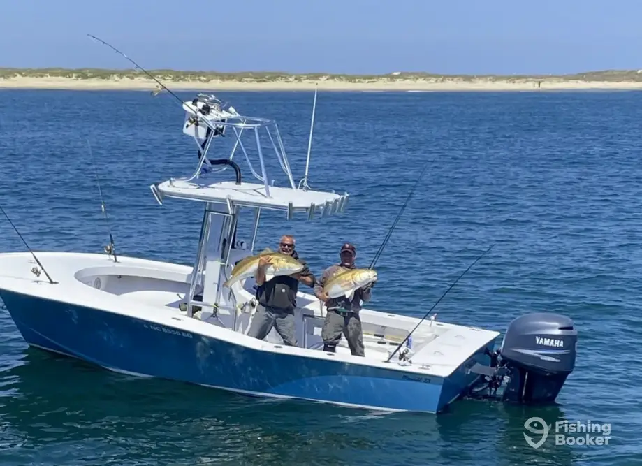 charter image 6