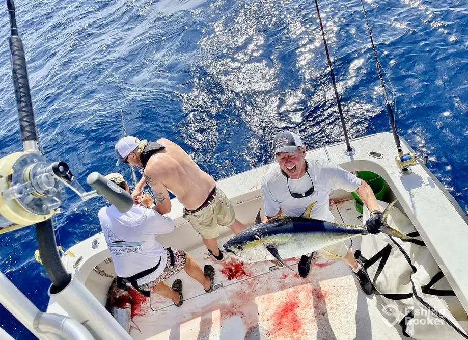 charter image 2