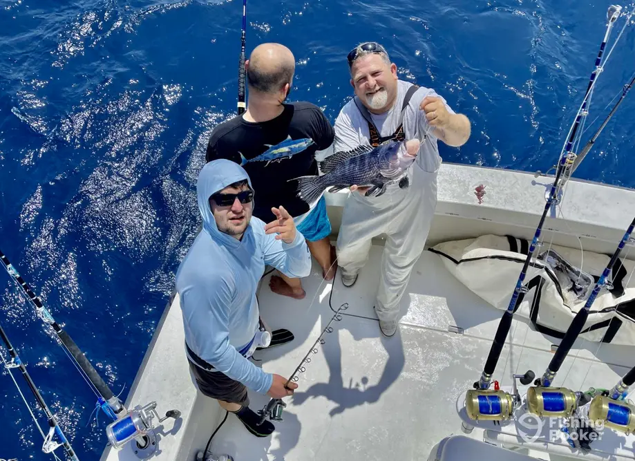 charter image 4