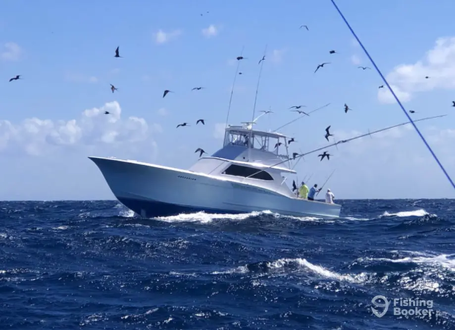 charter image 3