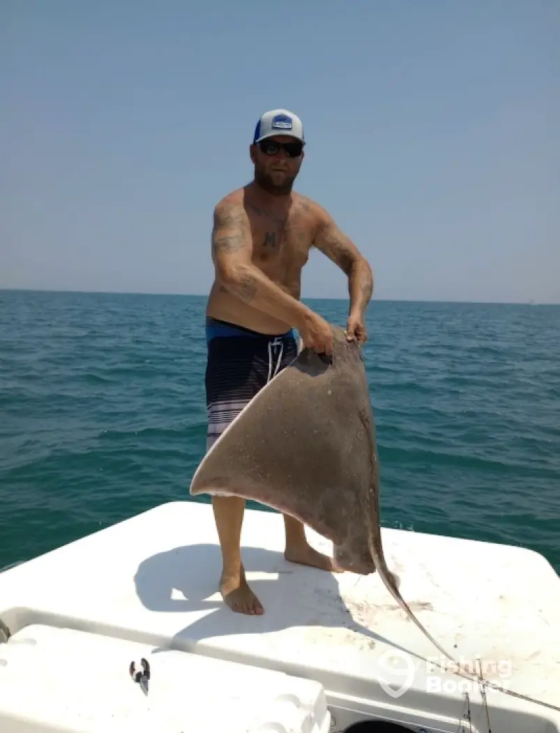charter image 4
