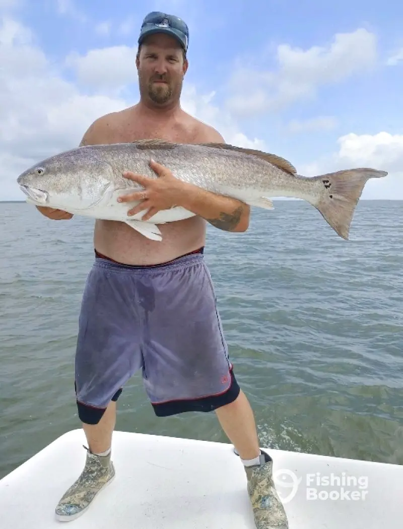 charter image 6