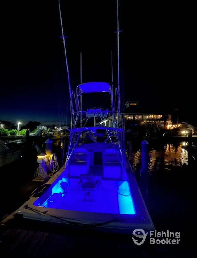 charter image 4