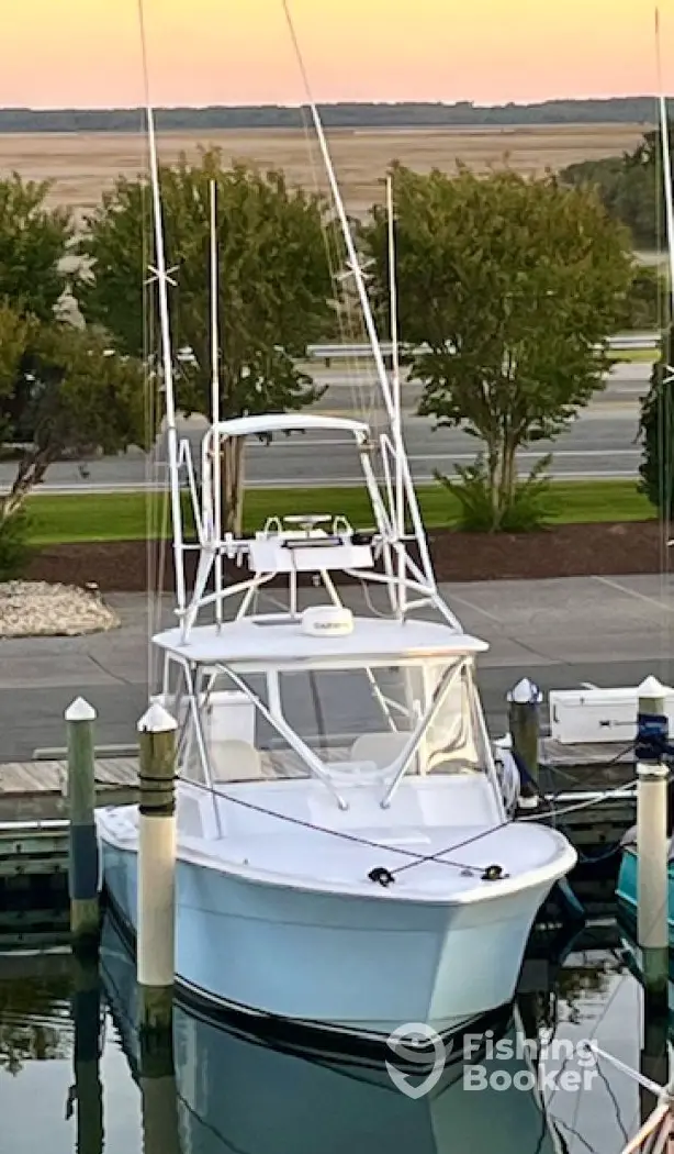charter image 5