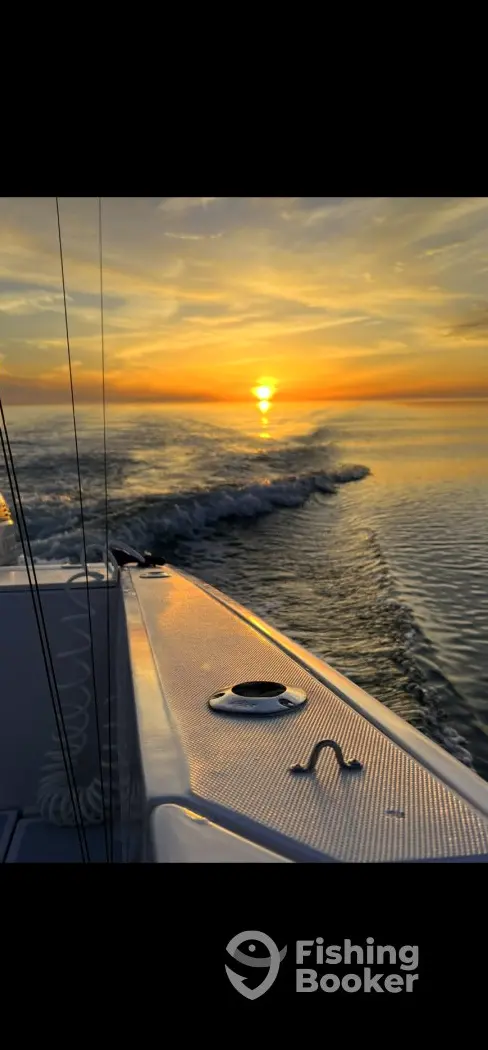 charter image 3
