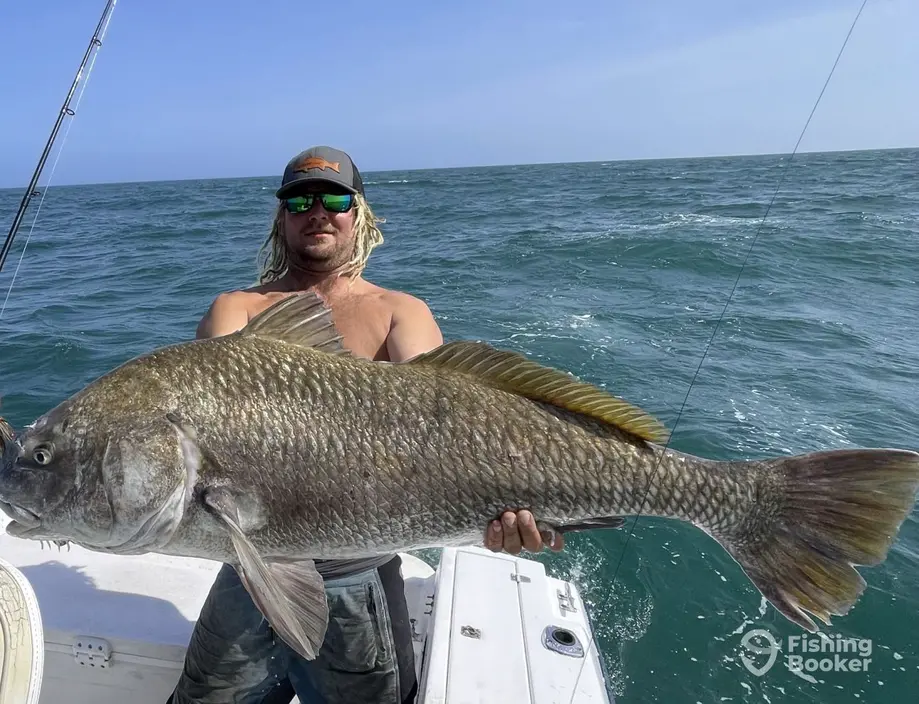 charter image 6