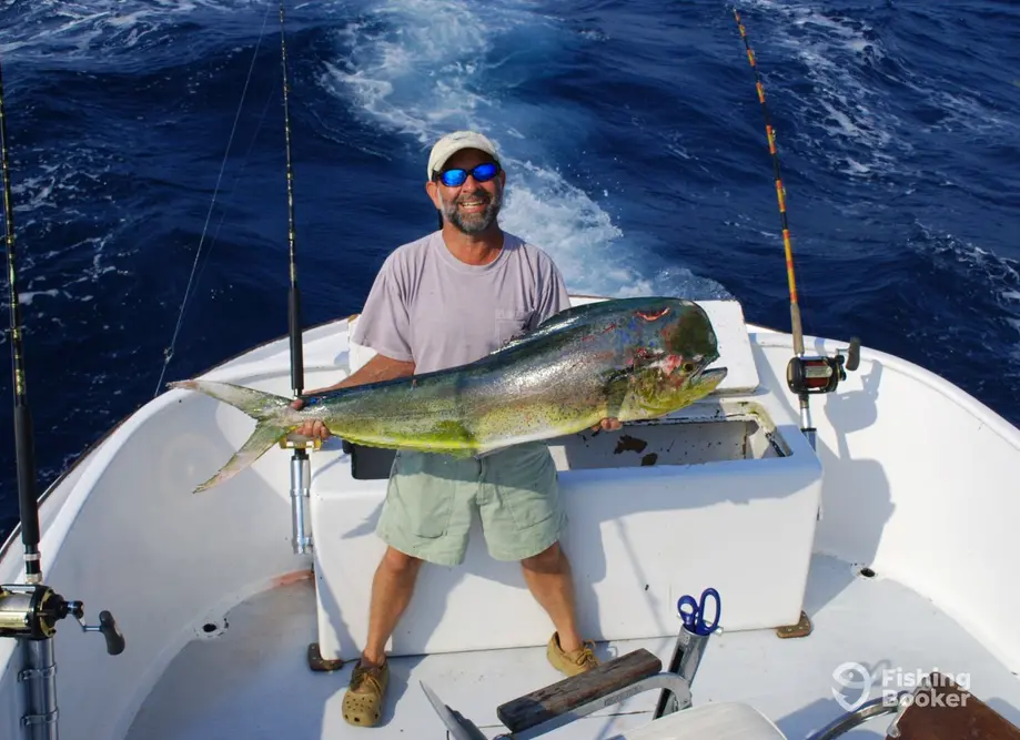 charter image 4