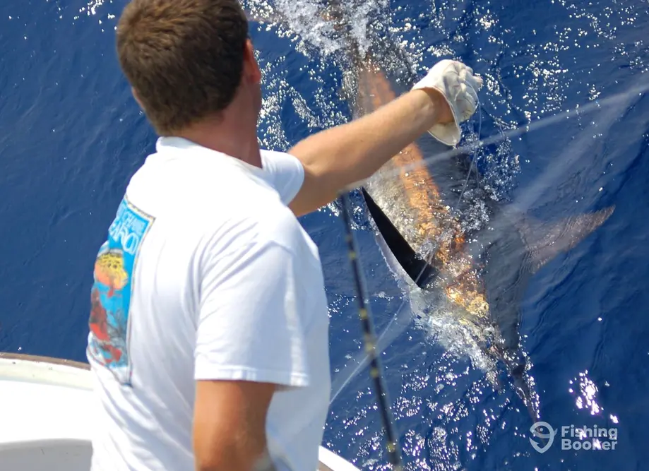 charter image 5