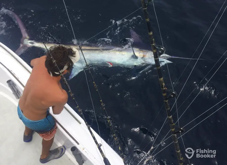 charter image 3