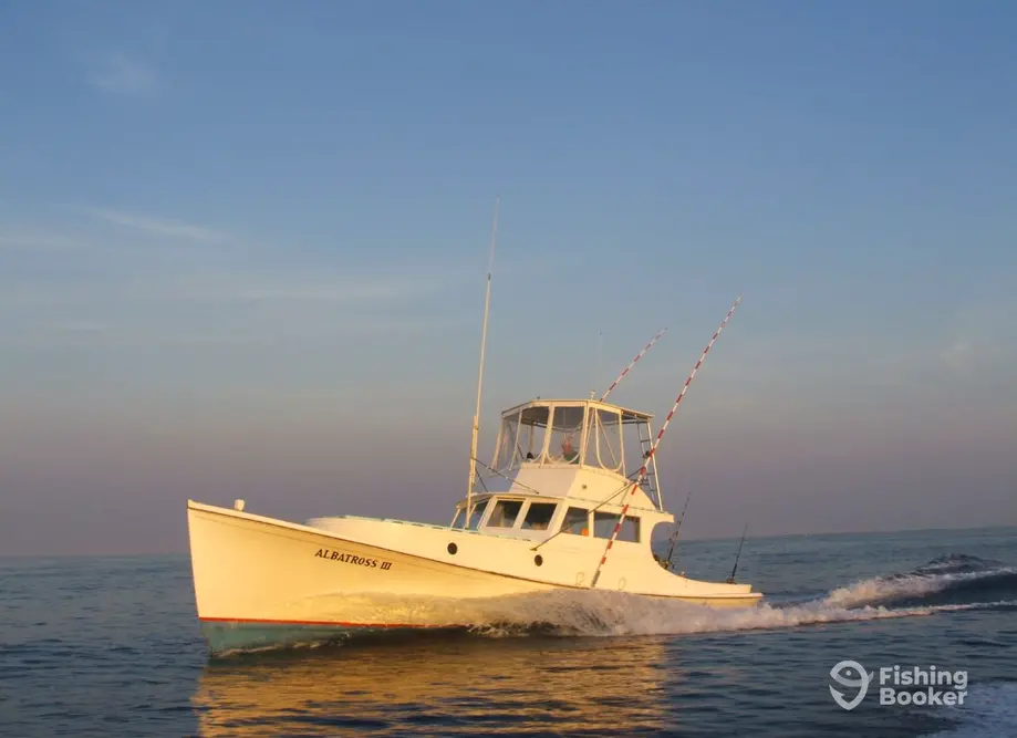 Albatross Fleet – Albatross III