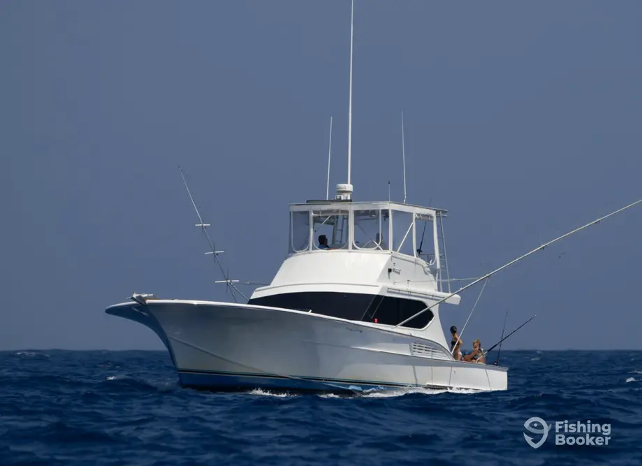 Reely Catchy Sportfishing- 53’